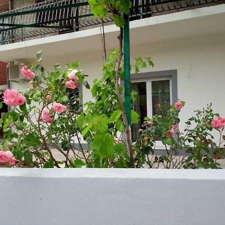 Apartmani Alma Скрадин Екстериор снимка